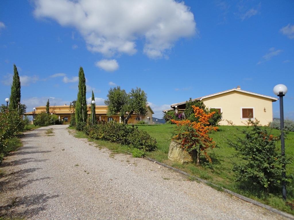 Colle D' Oro Farm stay *