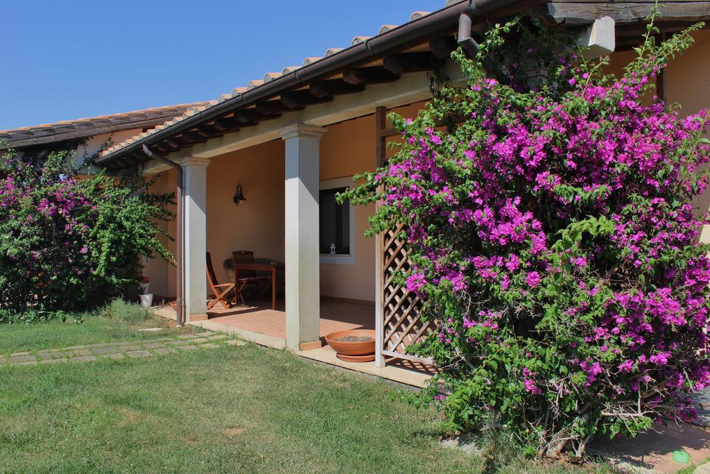 Colle D' Oro