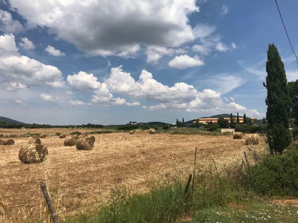 Colle D' Oro Farm stay Pescia Romana